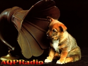 Famosos con London Philharmonic Orchestra en Navidad